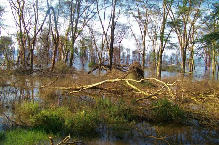 Lake Nakuru National Park (21)