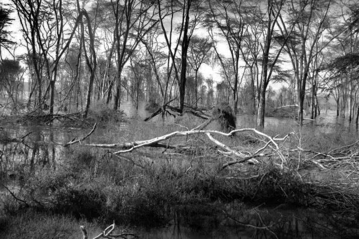 Lake Nakuru National Park (22)