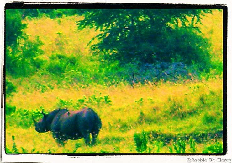 Lake Nakuru National Park (27)