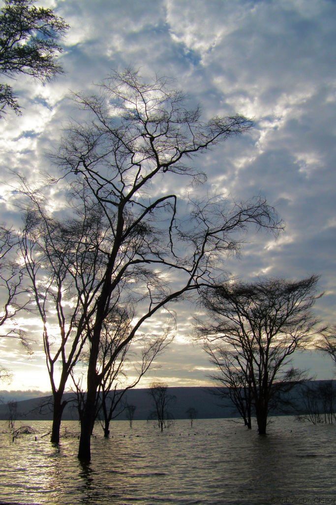 Lake Nakuru National Park (5)
