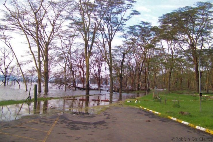 Lake Nakuru National Park (8)