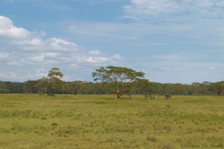 Lake Nakuru National Park (80)