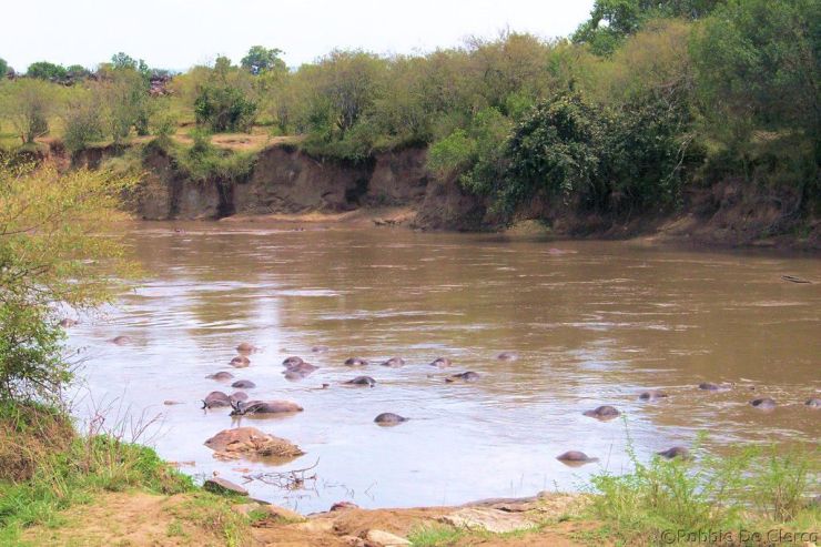 Masai Mara National Reserve (107)