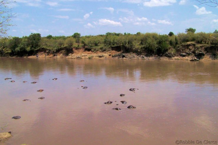 Masai Mara National Reserve (121)