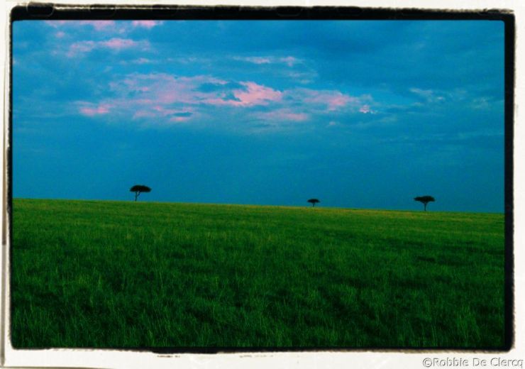 Masai Mara National Reserve (30)