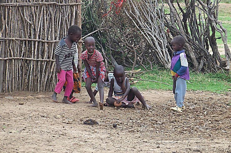 Masai village (15)