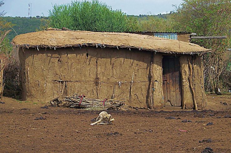 Masai village (4)
