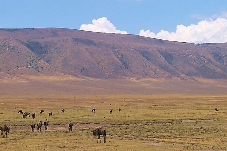 Ngorongoro (10)