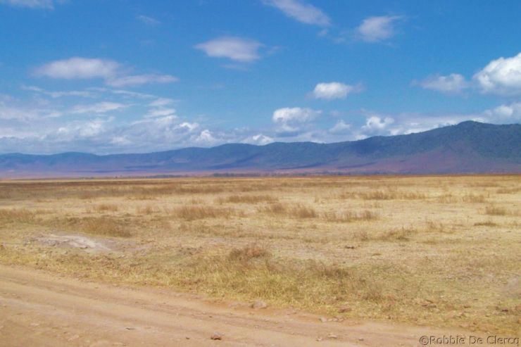 Ngorongoro (56)