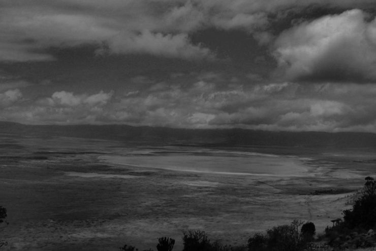 Ngorongoro (6)