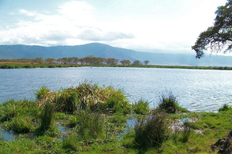 Ngorongoro (62)