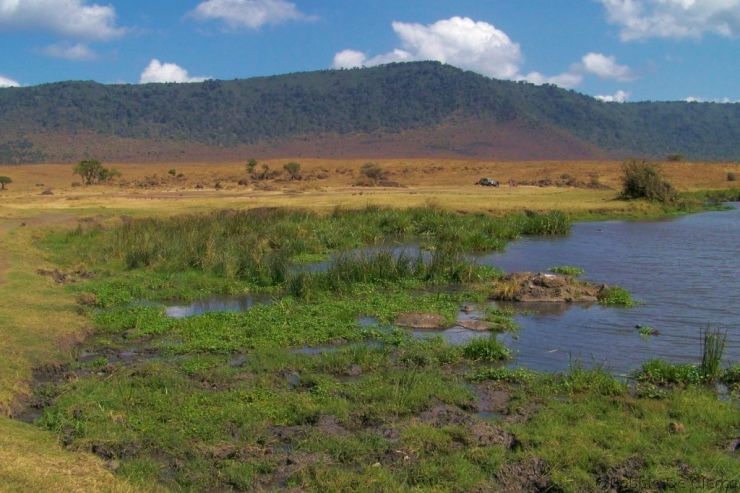 Ngorongoro (63)