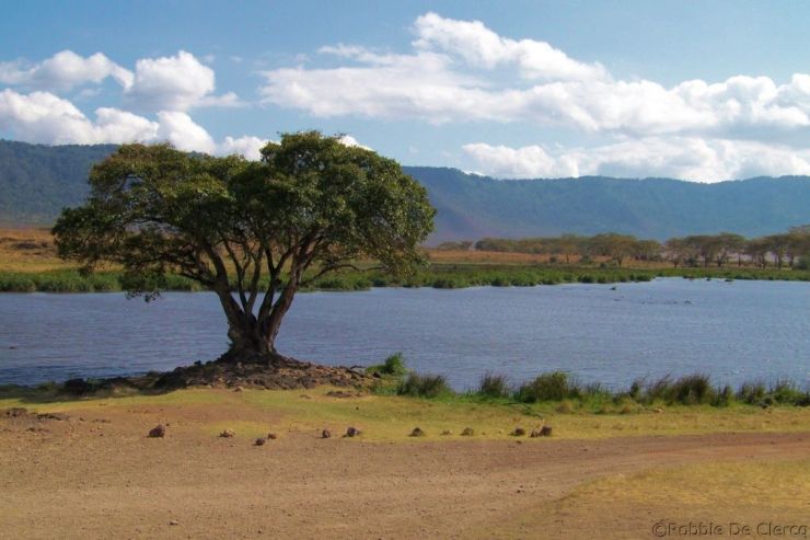 Ngorongoro (65)