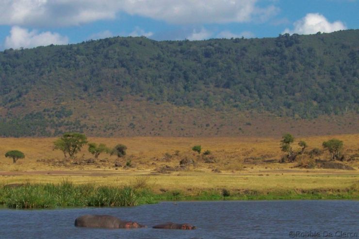 Ngorongoro (68)