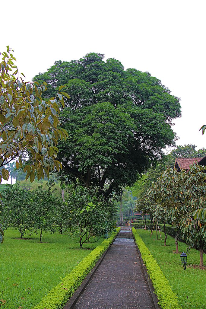 Presidentieel Paleis (26)