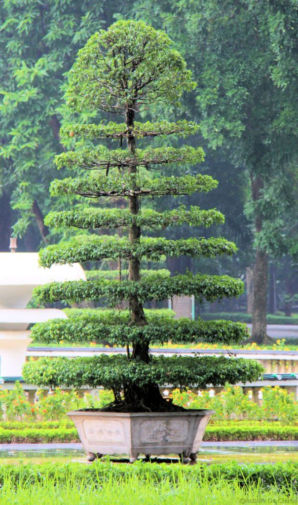 Presidentieel Paleis (4)