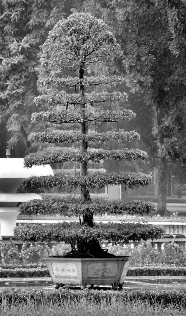 Presidentieel Paleis (5)