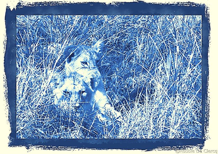 Serengeti National Park (102)