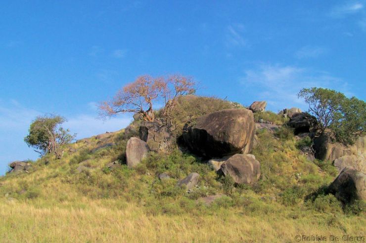 Serengeti National Park (103)
