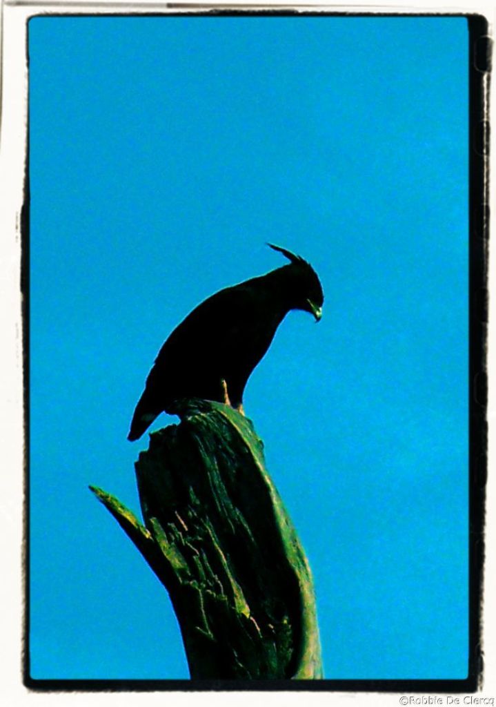 Serengeti National Park (105)