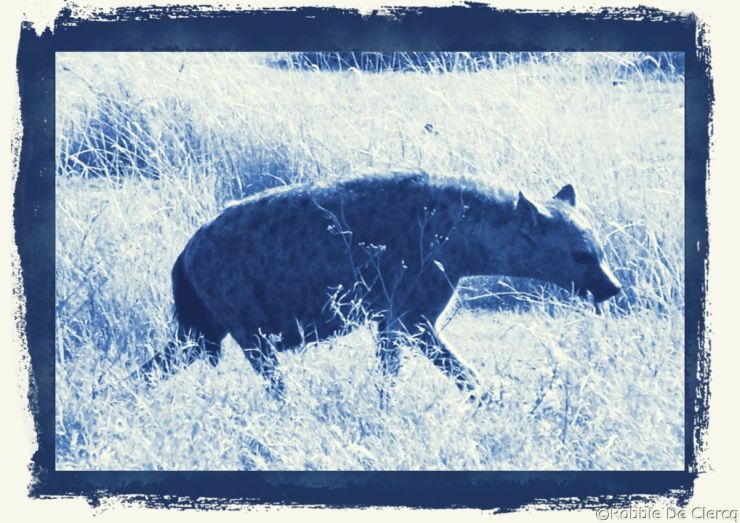 Serengeti National Park (110)