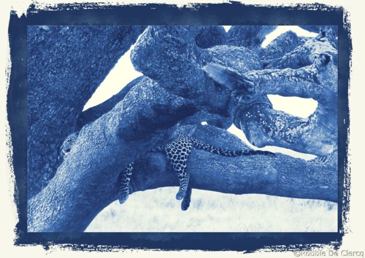 Serengeti National Park (115)