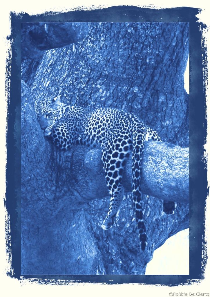 Serengeti National Park (123)