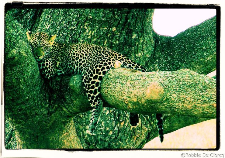 Serengeti National Park (131)