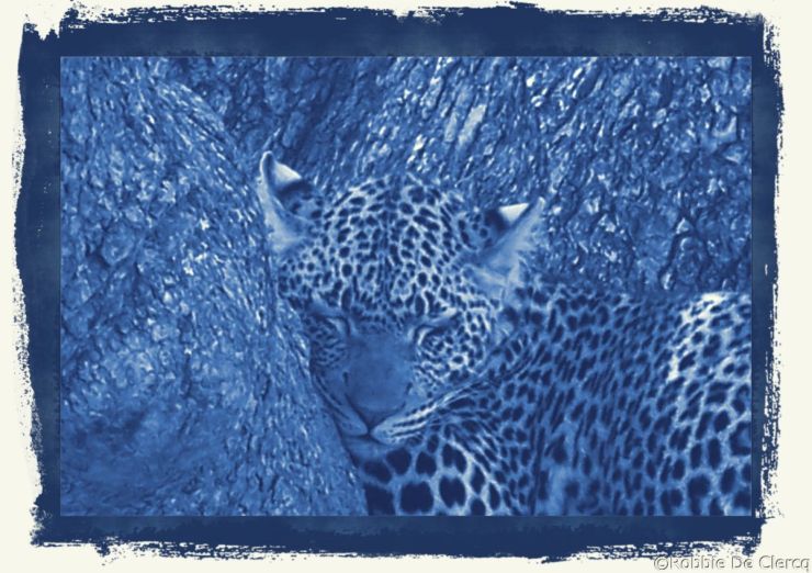 Serengeti National Park (134)