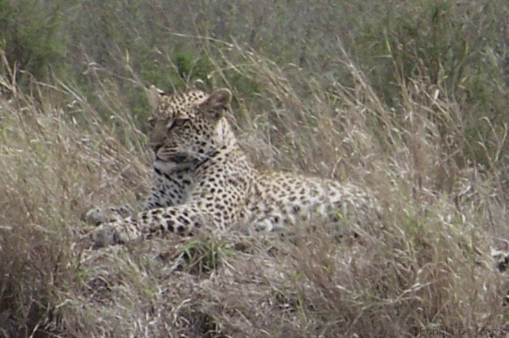 Serengeti National Park (140)