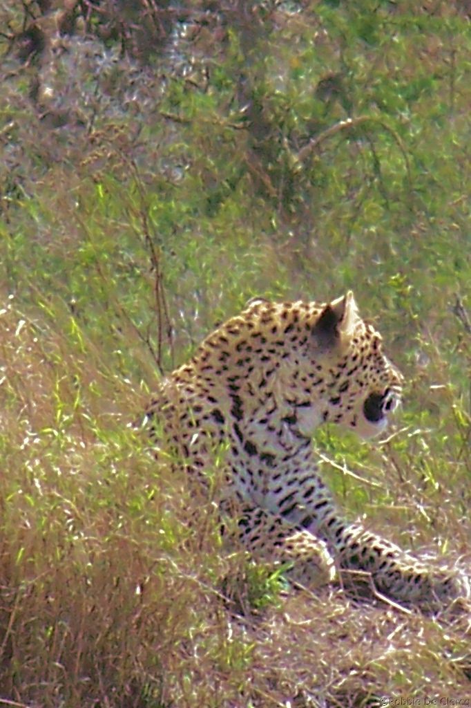 Serengeti National Park (143)