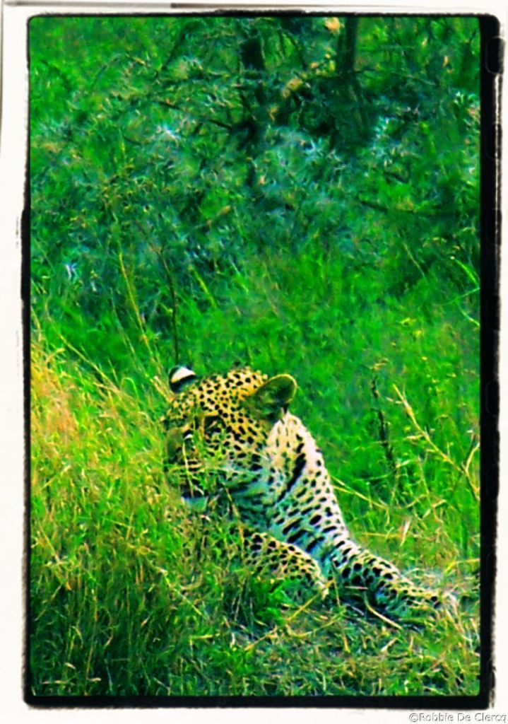 Serengeti National Park (145)