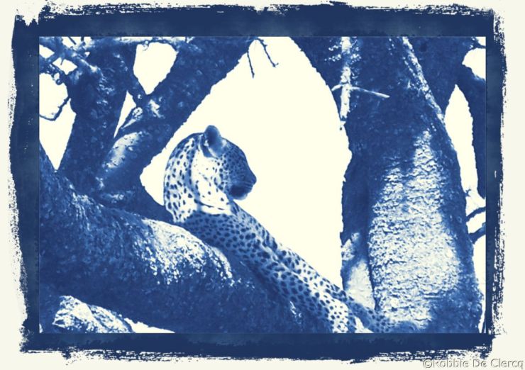 Serengeti National Park (150)