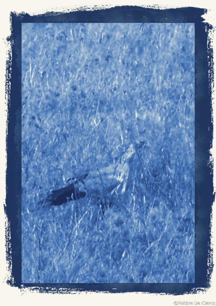 Serengeti National Park (159)