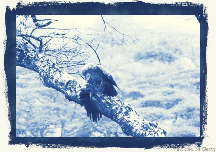 Serengeti National Park (165)