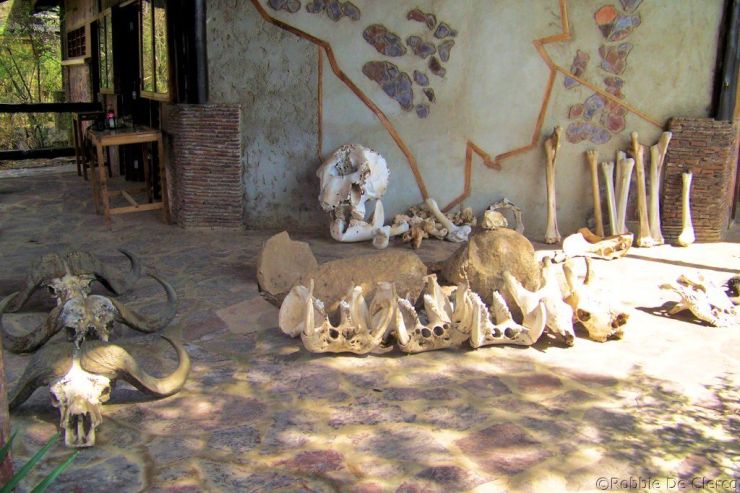 Serengeti National Park (177)