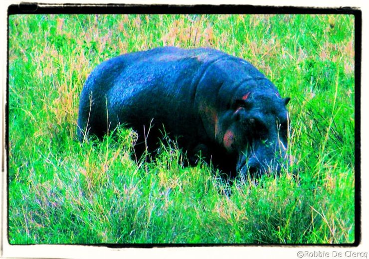 Serengeti National Park (200)