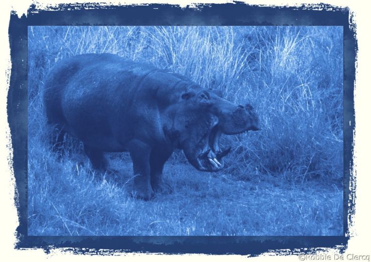 Serengeti National Park (204)