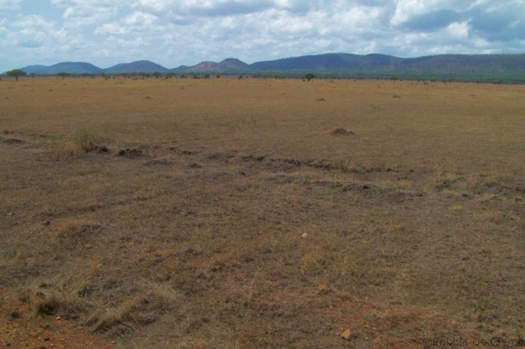 Serengeti National Park (21)