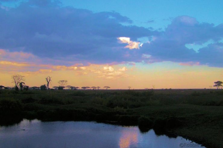 Serengeti National Park (223)
