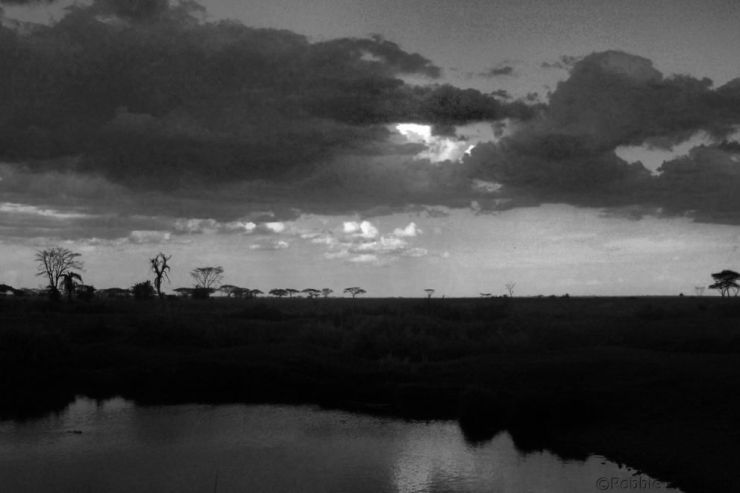 Serengeti National Park (224)