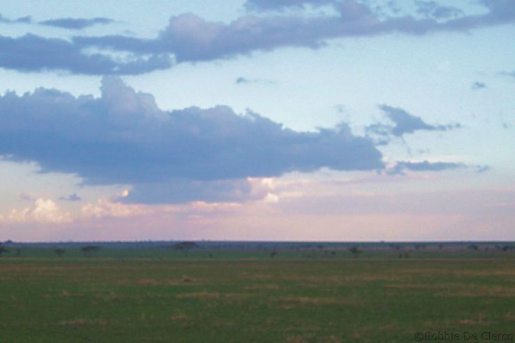 Serengeti National Park (229)