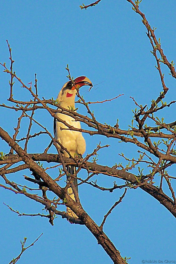 Serengeti National Park (232)