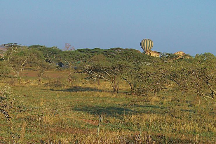 Serengeti National Park (234)