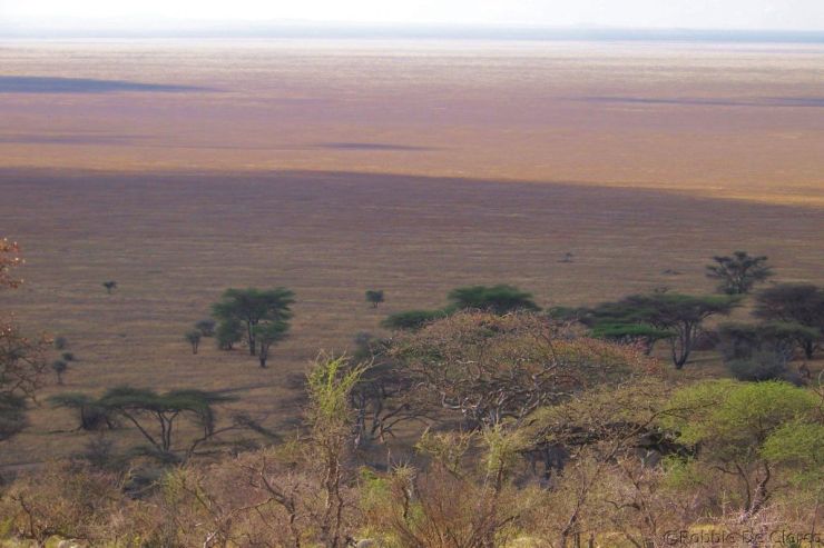 Serengeti National Park (253)