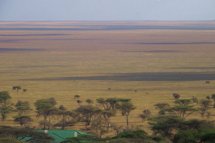 Serengeti National Park (254)