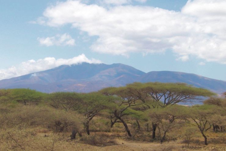 Serengeti National Park (262)