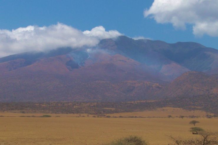 Serengeti National Park (263)