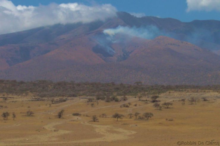Serengeti National Park (264)