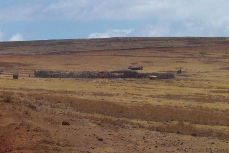 Serengeti National Park (269)